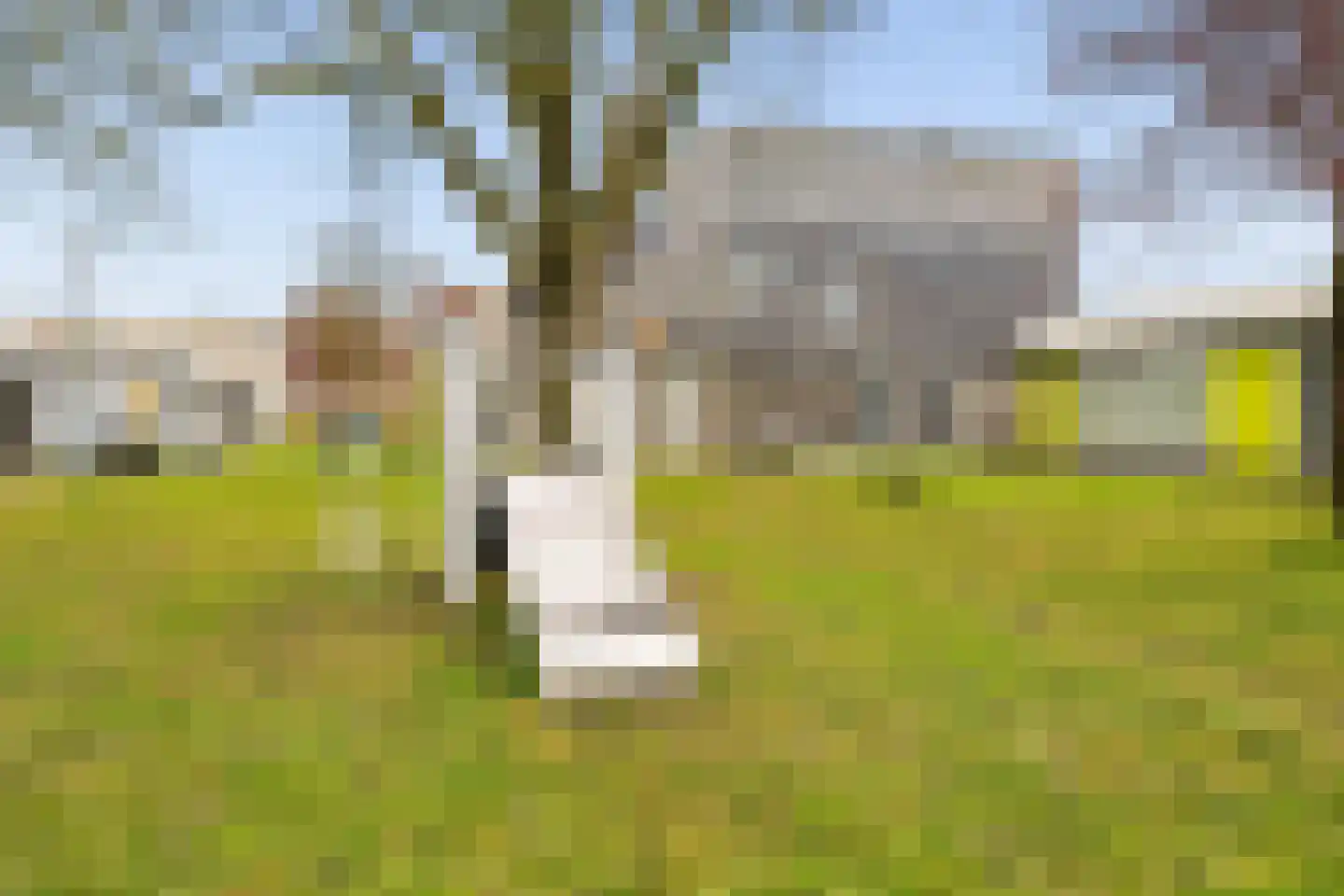 Schumannlaan 36 Zwolle thumbnail 31