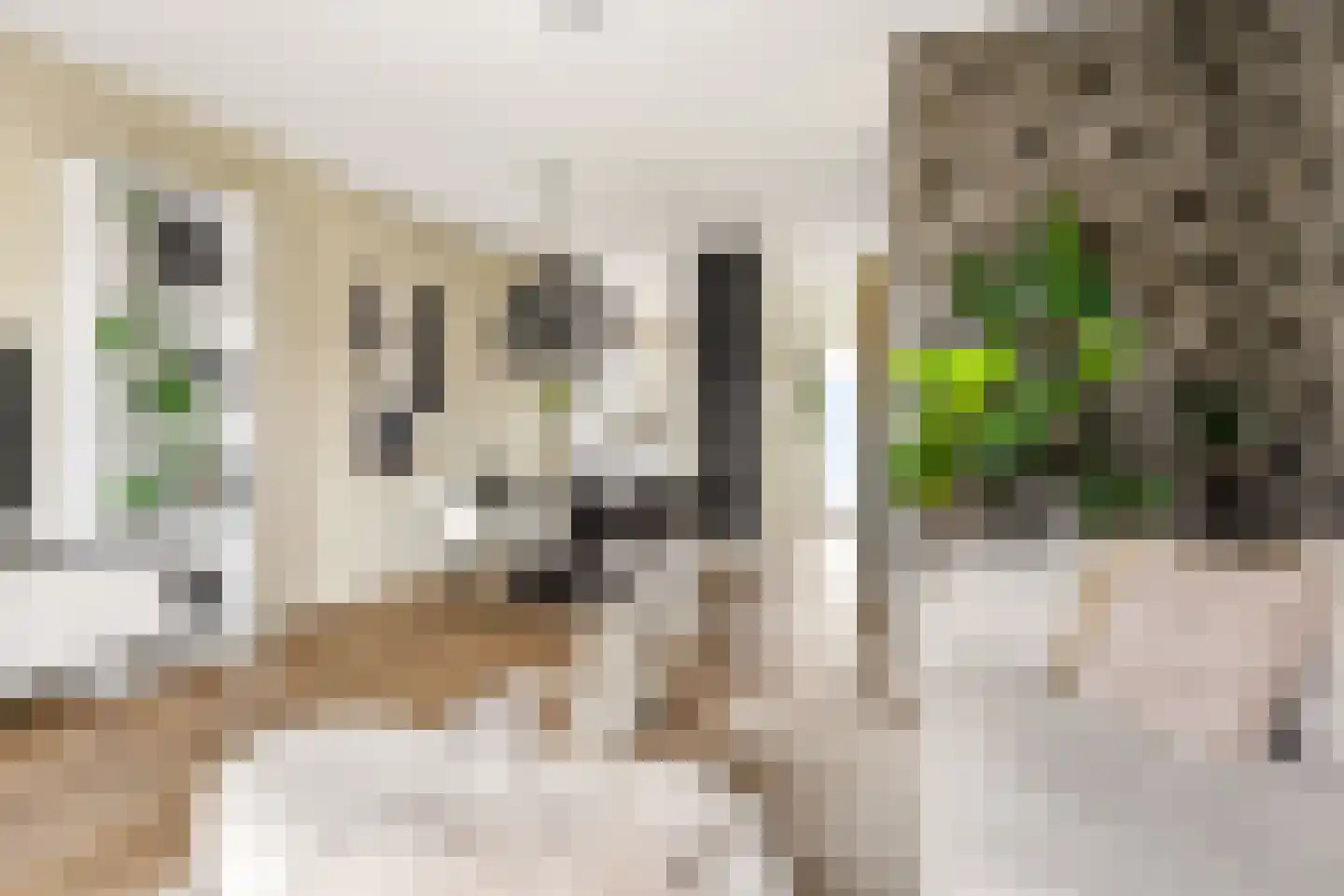 Schumannlaan 36 Zwolle thumbnail 9