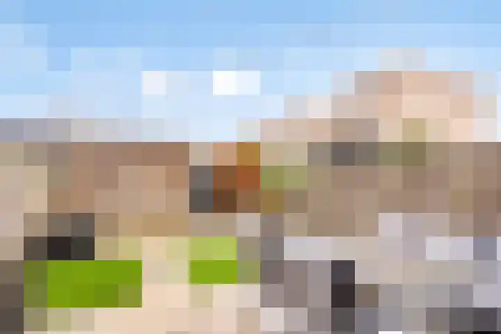 Schumannlaan 38 Zwolle thumbnail 33