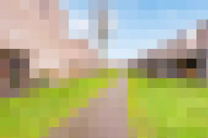 Schumannlaan 38 Zwolle thumbnail 36