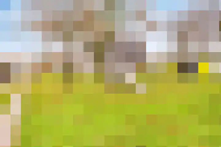 Schumannlaan 38 Zwolle thumbnail 37