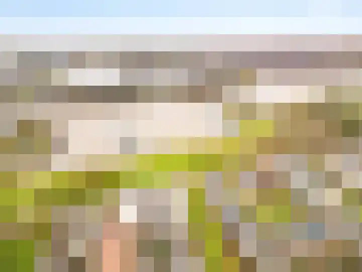 Schumannlaan 38 Zwolle thumbnail 39