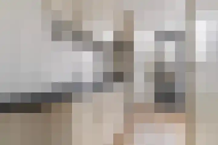 Schumannlaan 44 Rotterdam thumbnail 8