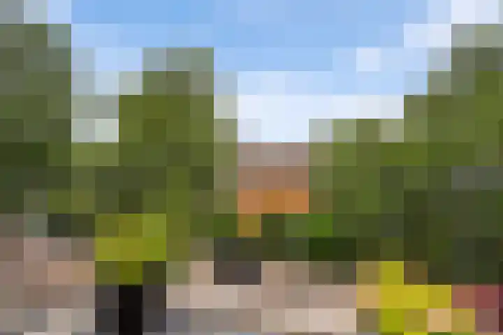 Schumannlaan 50 Rotterdam thumbnail 4