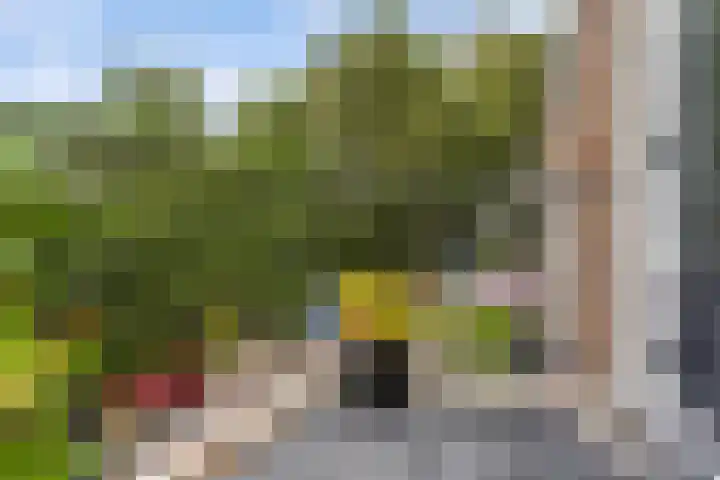 Schumannlaan 50 Rotterdam thumbnail 5