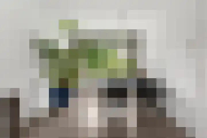 Schumannlaan 52 Rotterdam thumbnail 11