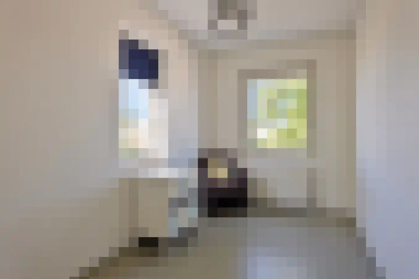 Schumannlaan 59 Zwolle thumbnail 31