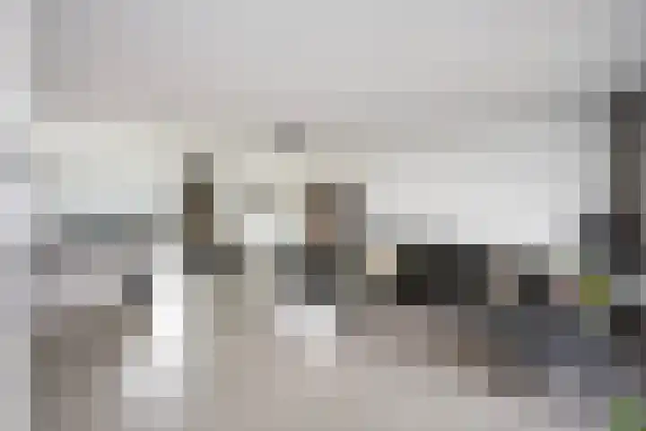 Schumannlaan 67 Zwolle thumbnail 13