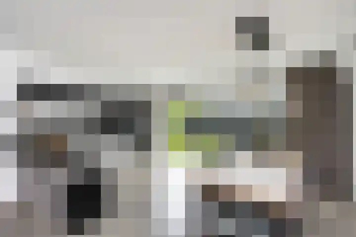 Schumannlaan 67 Zwolle thumbnail 15