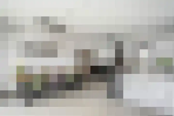 Schumannlaan 67 Zwolle thumbnail 16