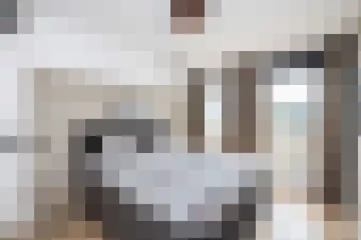 Schumannlaan 67 Zwolle thumbnail 21