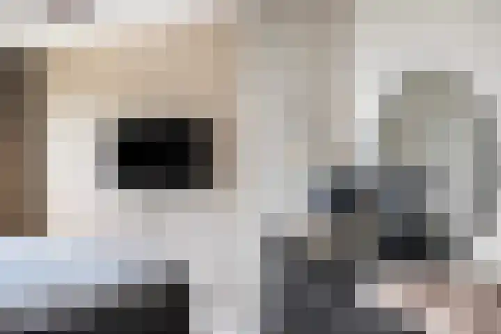 Schumannlaan 67 Zwolle thumbnail 22