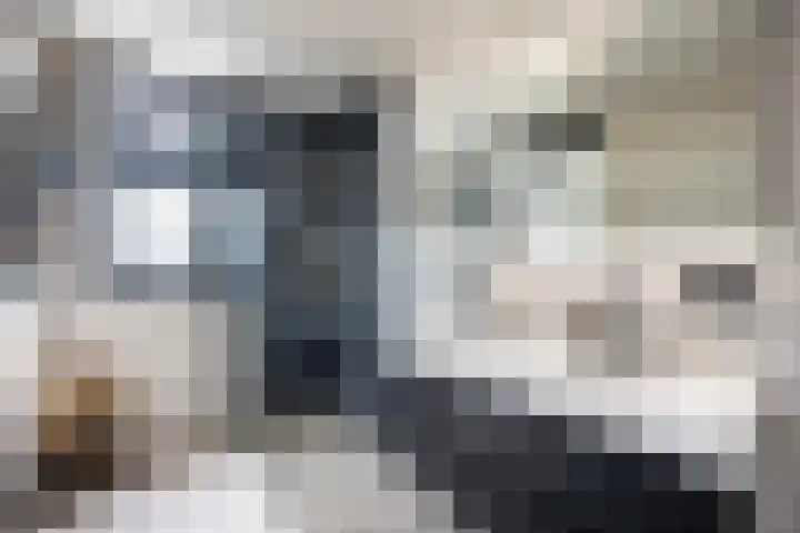 Schumannlaan 67 Zwolle thumbnail 30