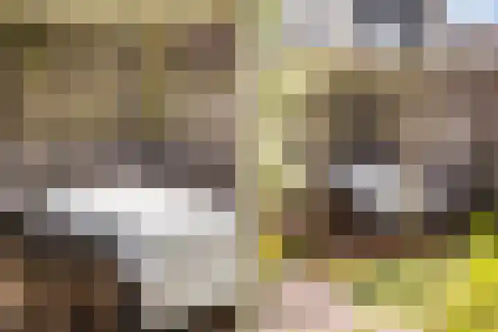Schumannlaan 67 Zwolle thumbnail 32