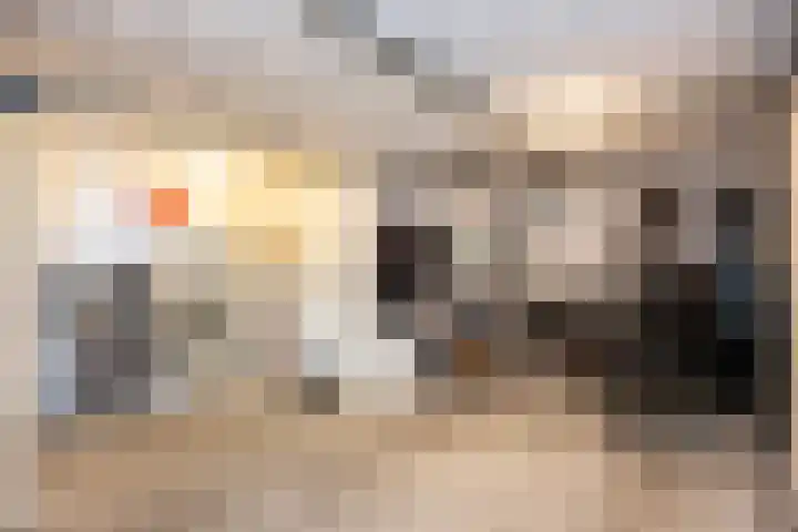 Schumannlaan 67 Zwolle thumbnail 36