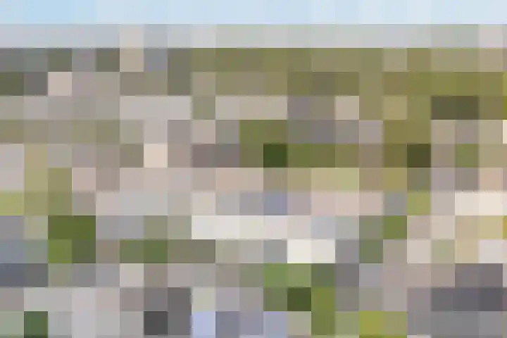 Schumannlaan 67 Zwolle thumbnail 39