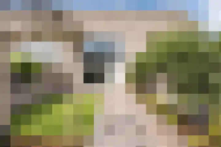 Schumannlaan 67 Zwolle thumbnail 40