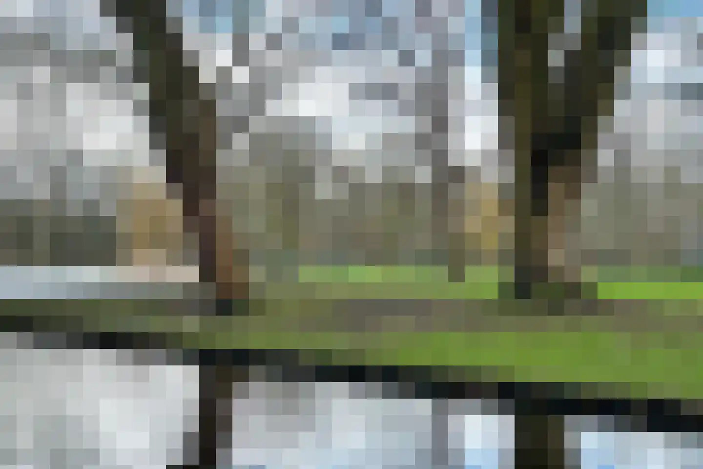 Schumannlaan 8 Rotterdam thumbnail 38