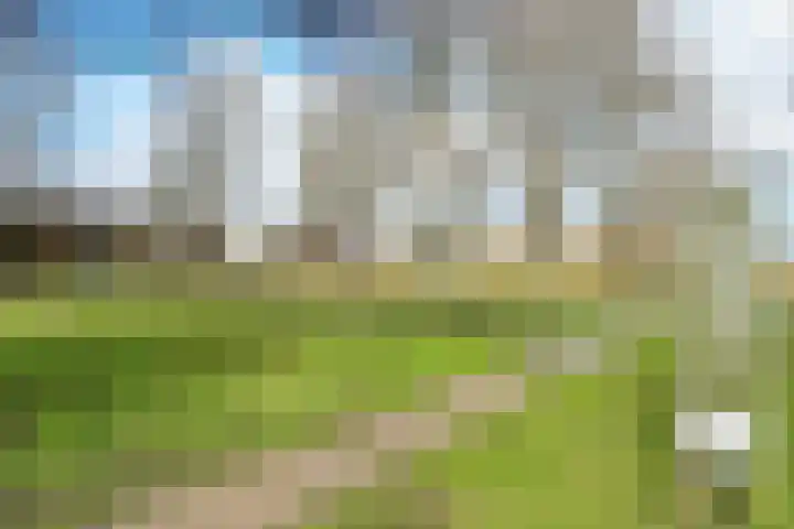 Schumannlaan 8 Rotterdam thumbnail 39