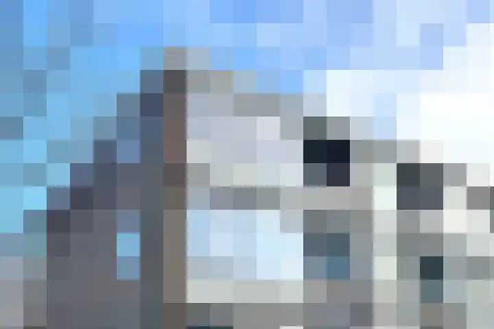 Schumannlaan 8 Rotterdam thumbnail 6