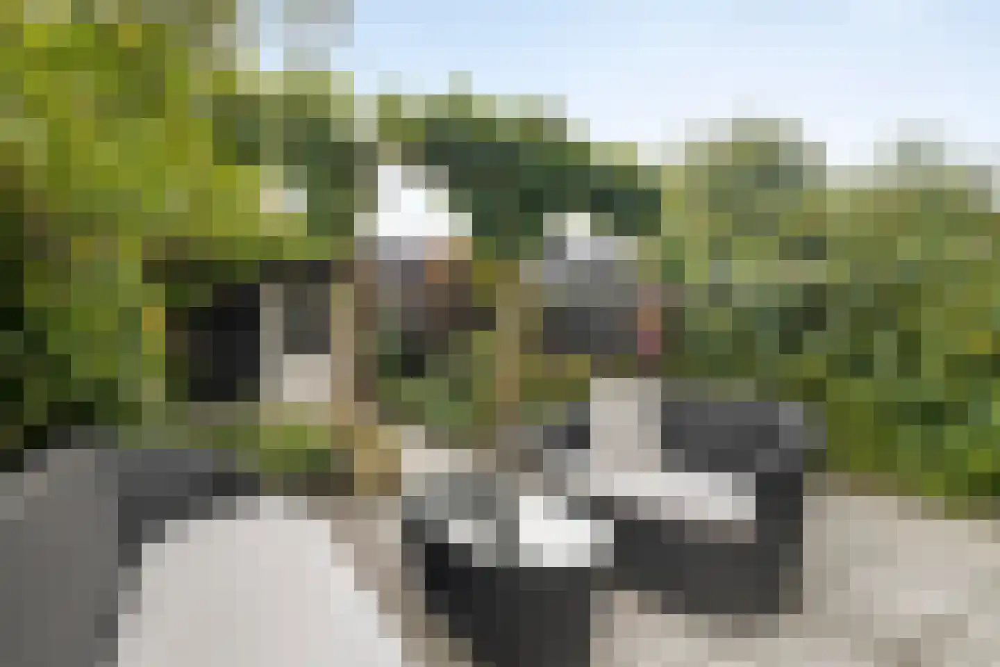 Schumannlaan 93 Zwolle thumbnail 22