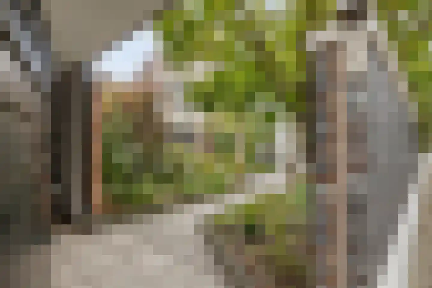Schumannlaan 93 Zwolle thumbnail 52