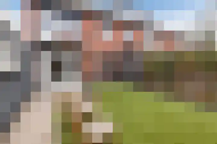 Schumannstraat 13 Almelo thumbnail 4