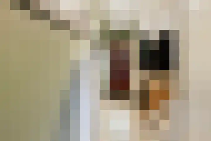 Schumannstraat 13 Almelo thumbnail 9