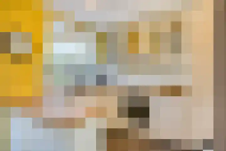 Schumannstraat 42 Eindhoven thumbnail 12