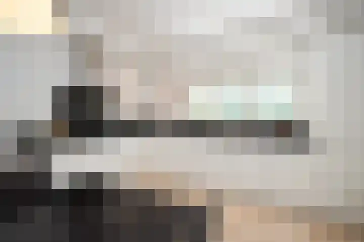 Schumannstraat 8 Hulst foto 3
