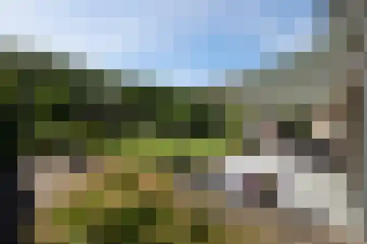 Schumannstraat 8 Hulst thumbnail 4