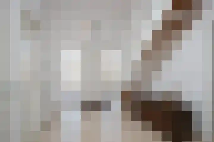 Schumannstraat 8 Hulst thumbnail 5