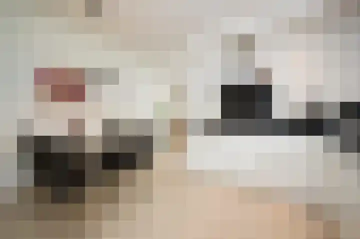 Schumannstraat 8 Hulst thumbnail 8