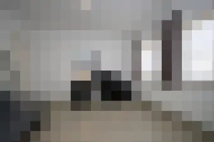 Schumannstraat 8 Hulst thumbnail 9