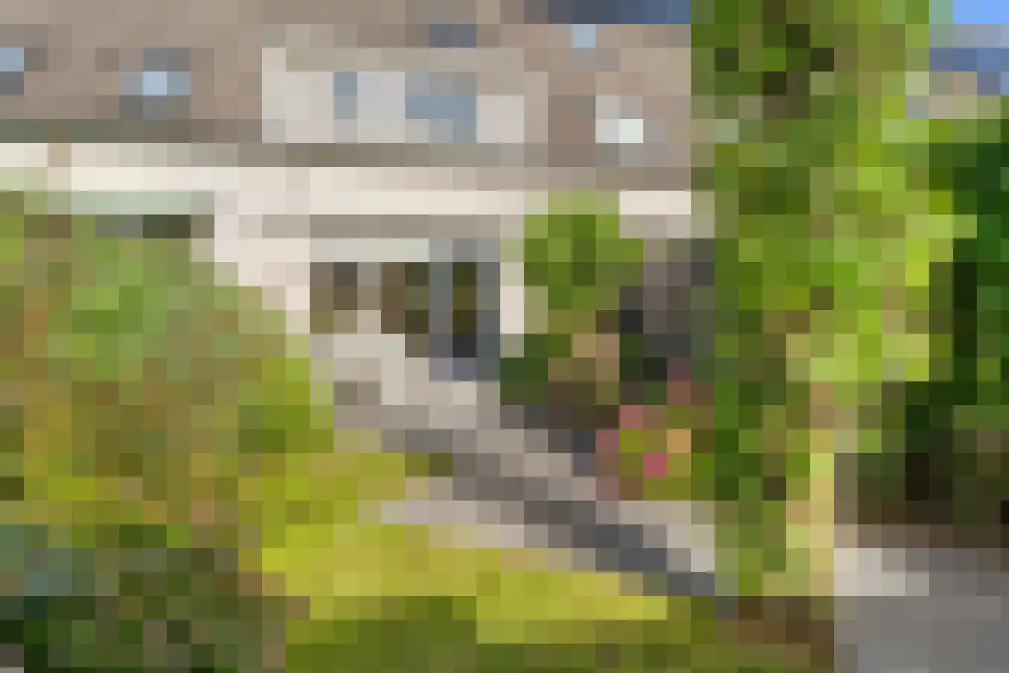 Schumansingel 24 Ede thumbnail 7