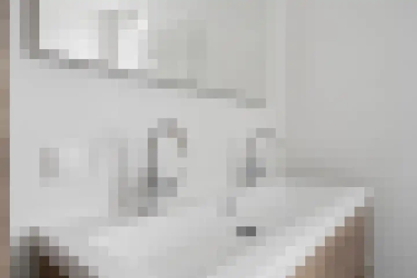 Schumansingel 25 Ede thumbnail 22