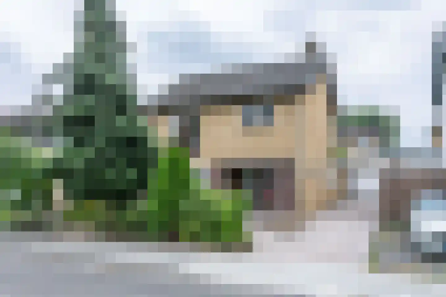 Schumanstraat 13 Brunssum thumbnail 50