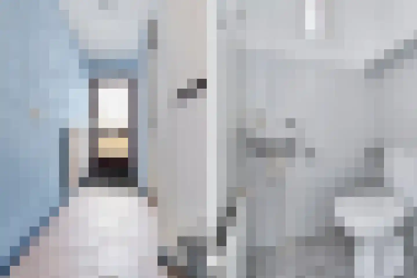 Schumanstraat 4 Zevenaar thumbnail 17