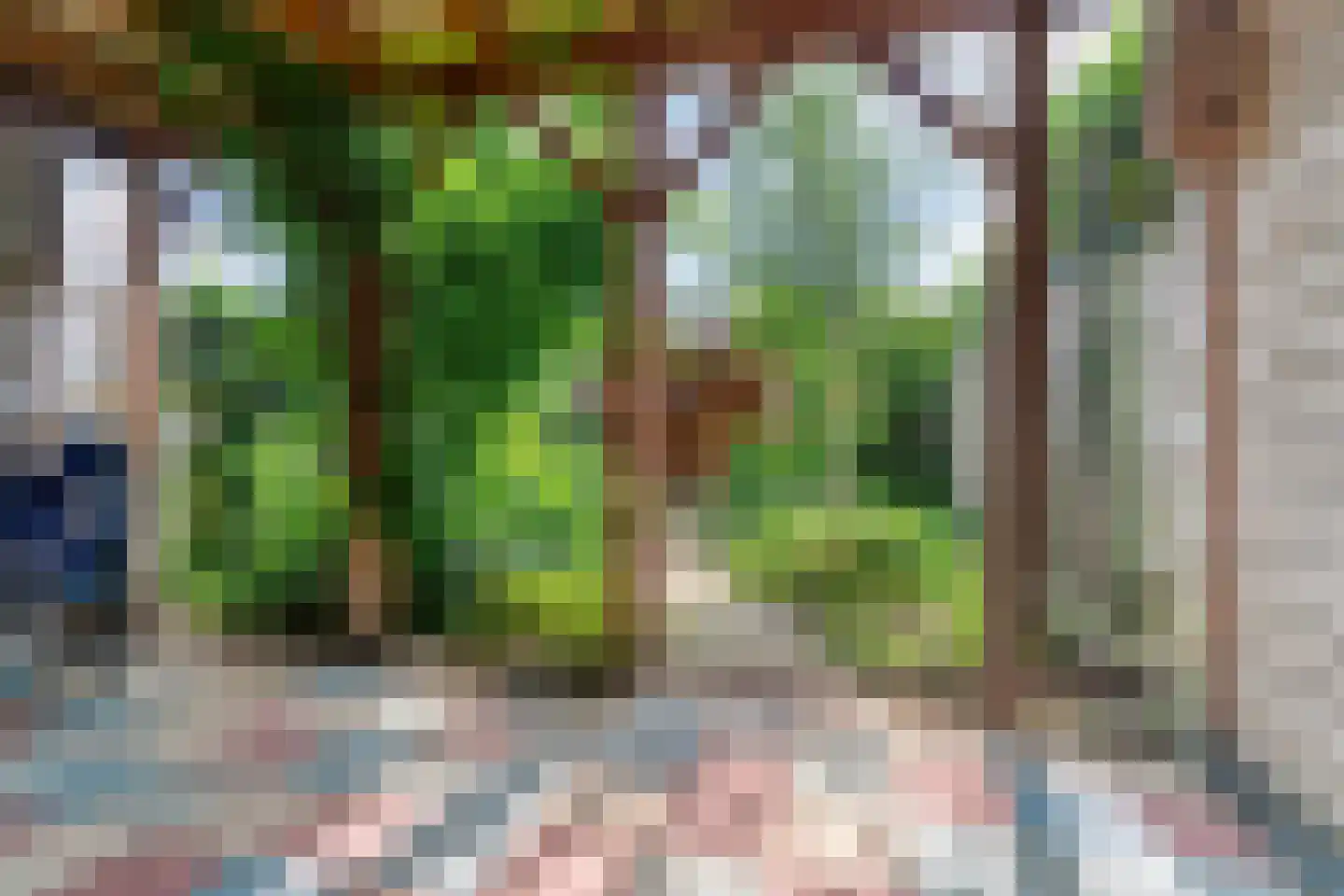 Schumanstraat 4 Zevenaar thumbnail 28