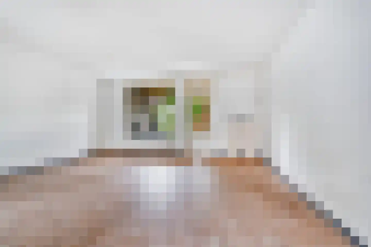 Schumanstraat 4 Zevenaar thumbnail 9