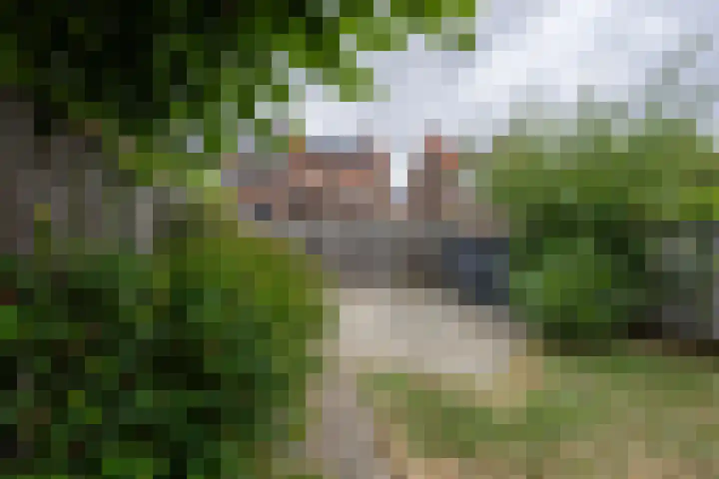 Schummerstraat 36 Kerkrade thumbnail 26