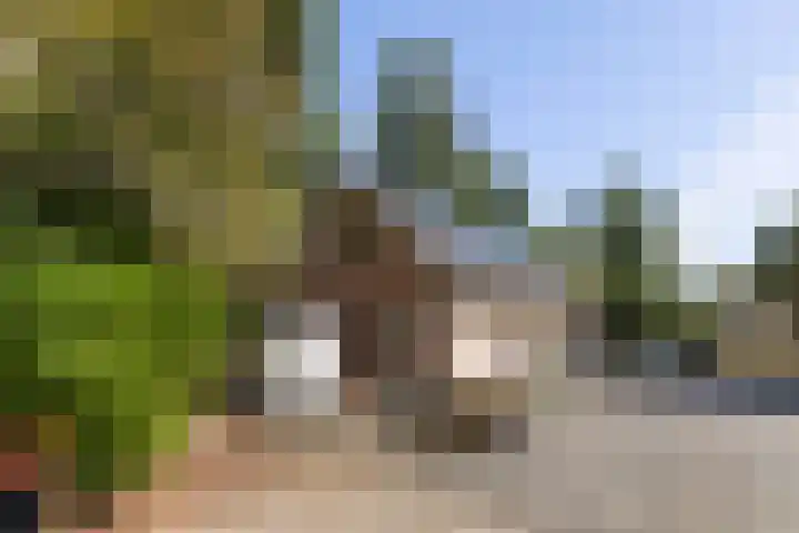 Schupperijweg 29 Wenum Wiesel thumbnail 16