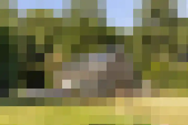 Schupperijweg 29 Wenum Wiesel thumbnail 17