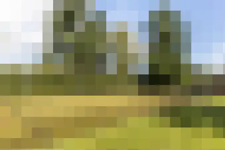 Schupperijweg 29 Wenum Wiesel thumbnail 18