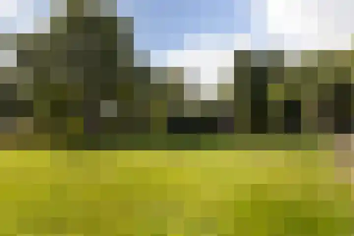 Schupperijweg 29 Wenum Wiesel thumbnail 19