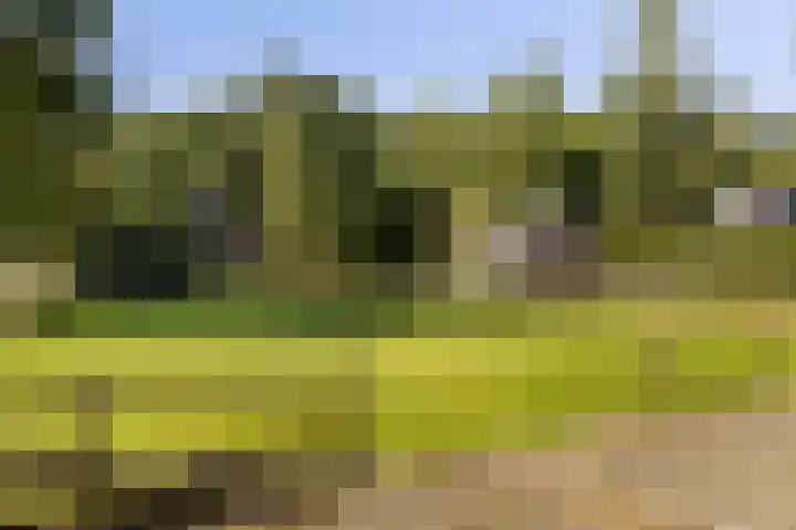 Schupperijweg 29 Wenum Wiesel thumbnail 20