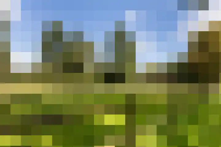 Schupperijweg 29 Wenum Wiesel thumbnail 21