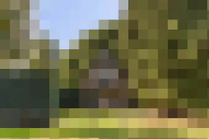 Schupperijweg 29 Wenum Wiesel thumbnail 23