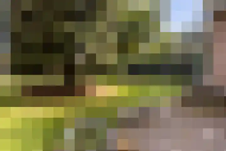 Schupperijweg 29 Wenum Wiesel thumbnail 25