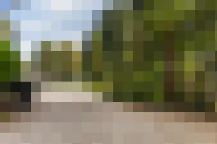 Schupperijweg 29 Wenum Wiesel thumbnail 26